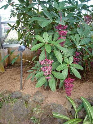 e0097770_16374389.jpg