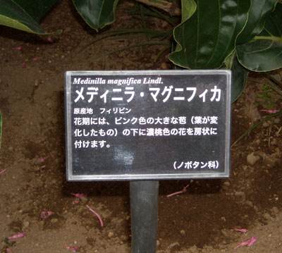 e0097770_16394222.jpg