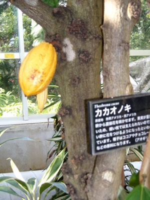 e0097770_16414149.jpg