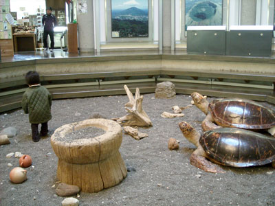 e0097770_1718291.jpg