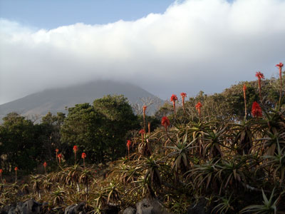 e0097770_17193885.jpg