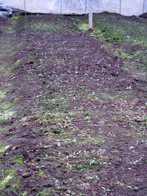 e0097770_22183166.jpg