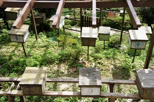c0108673_1172458.jpg