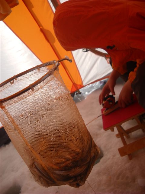 d0164783_10493532.jpg