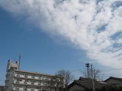 e0130185_18531348.jpg