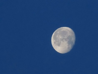 c0009287_10452452.jpg