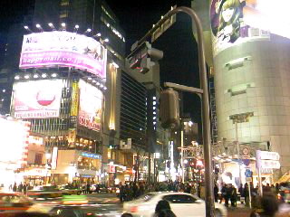 a0103293_1163052.jpg