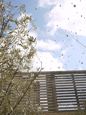 a0150193_1442618.gif