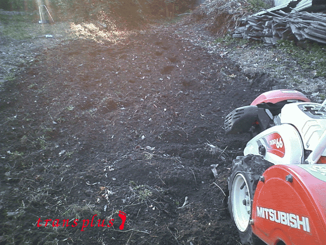 b0031493_22243512.gif