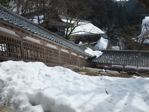 b0044296_1241022.jpg