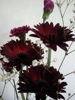 b0160300_21582075.jpg