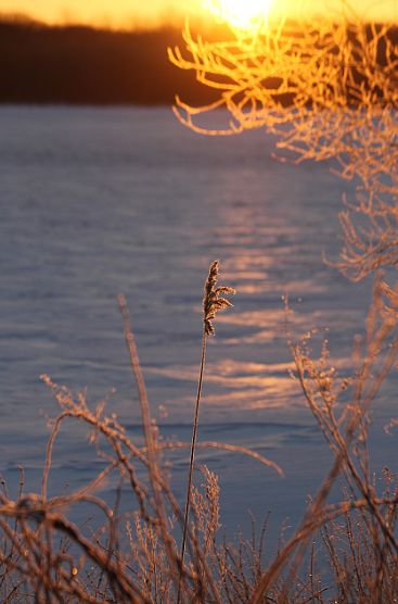 c0155902_2311628.jpg