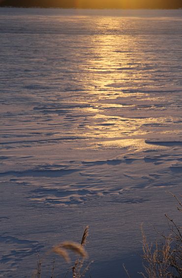 c0155902_2324165.jpg