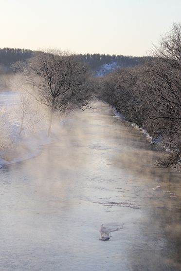 c0155902_2355422.jpg