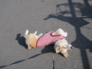 c0126703_1733657.jpg