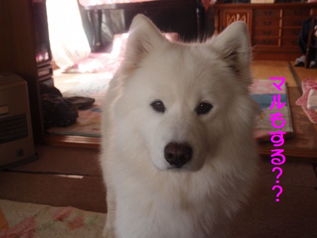 e0018604_14215169.jpg