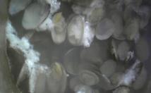 f0143504_1405714.jpg