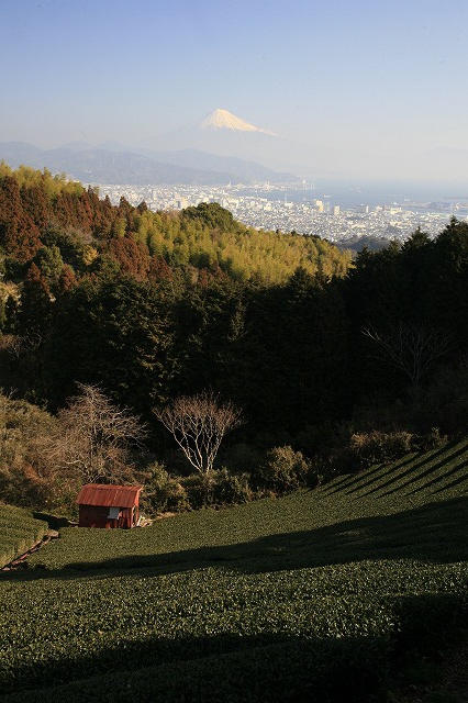 a0188405_21283015.jpg