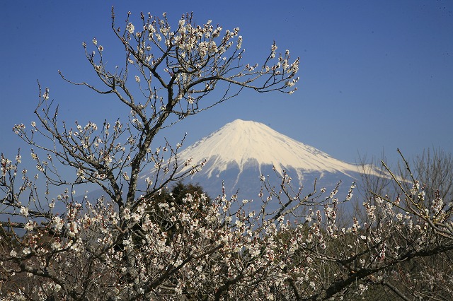 a0188405_2138393.jpg