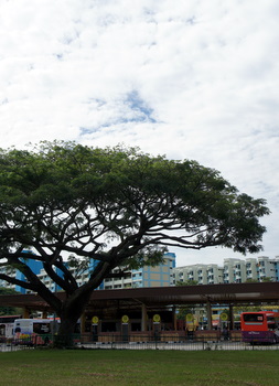 c0148705_2212515.jpg