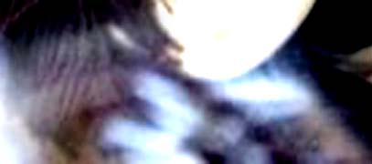 e0103408_130876.jpg