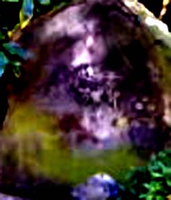 e0103408_1314675.jpg