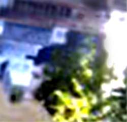e0103408_1323388.jpg