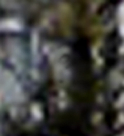 e0103408_2365095.jpg