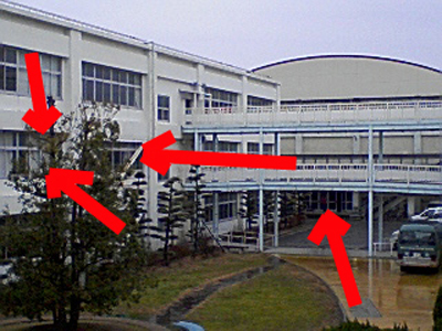 e0103408_2374592.jpg