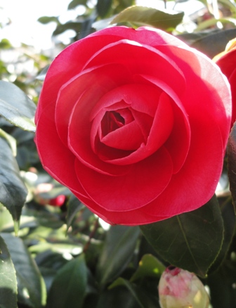 f0231709_13392245.jpg
