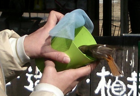 c0190010_20492155.jpg