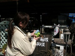 c0190010_2049646.jpg
