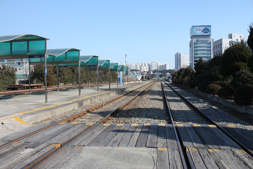 b0093515_71841.jpg
