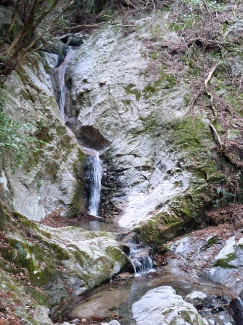 d0170615_19255751.jpg
