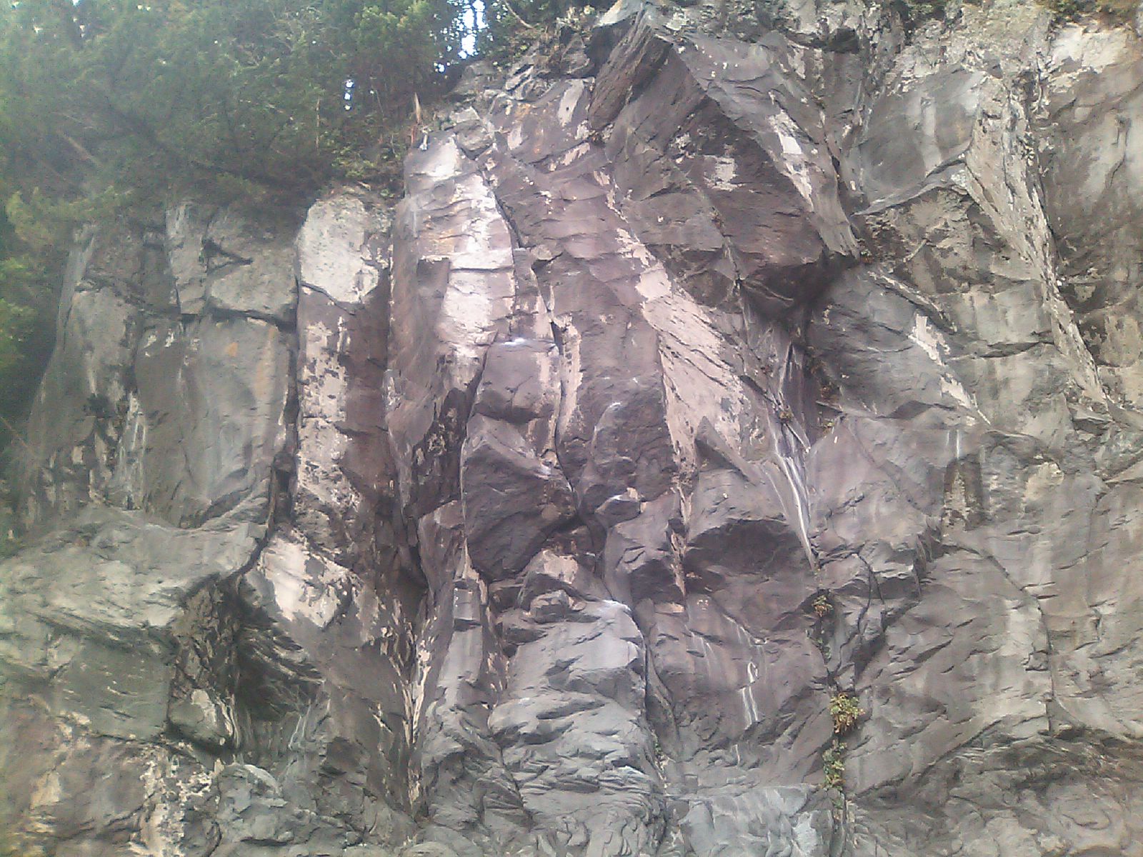 c0210618_1532426.jpg