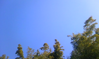 d0024220_15097.jpg