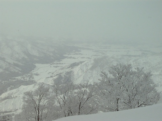 b0199924_18412666.jpg