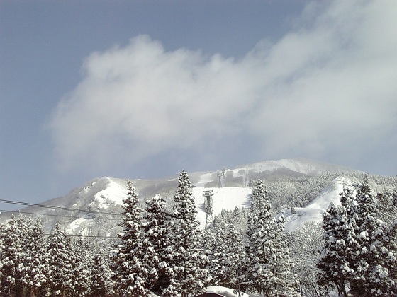 b0199924_18423229.jpg