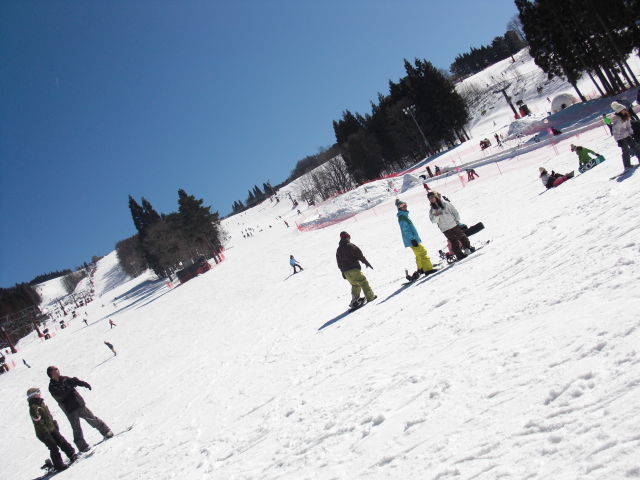 c0156828_1152166.jpg