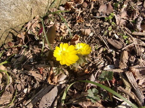 b0012636_13503455.jpg