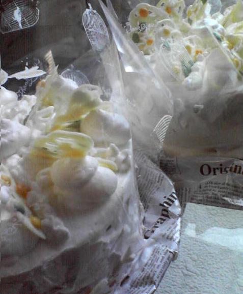 f0237037_8581131.jpg