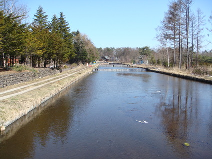 e0228938_8124220.jpg