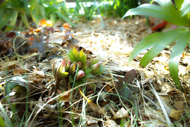 c0227239_18245013.jpg