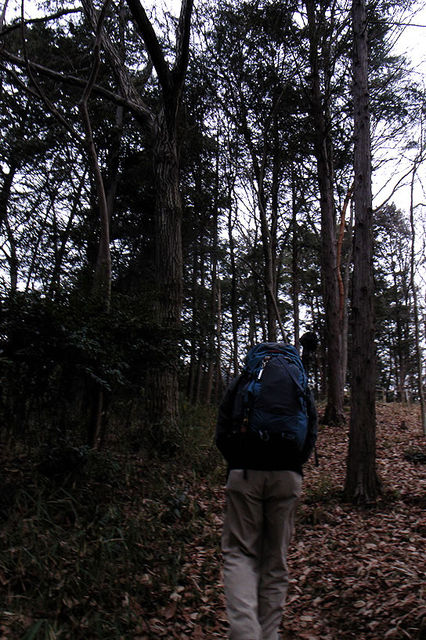 a0130641_1471461.jpg