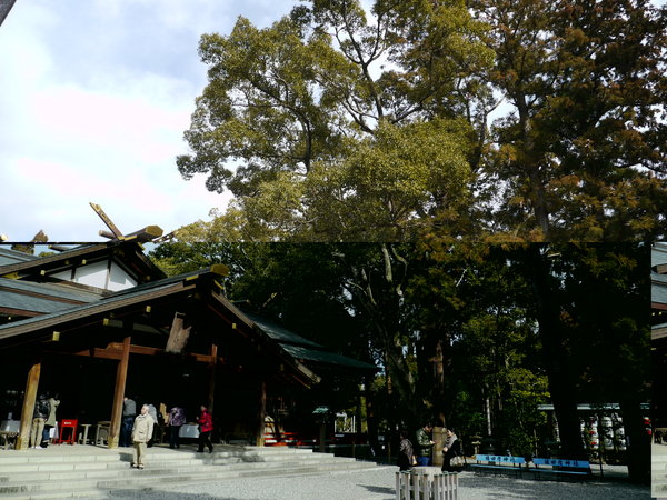 b0190242_12423320.jpg