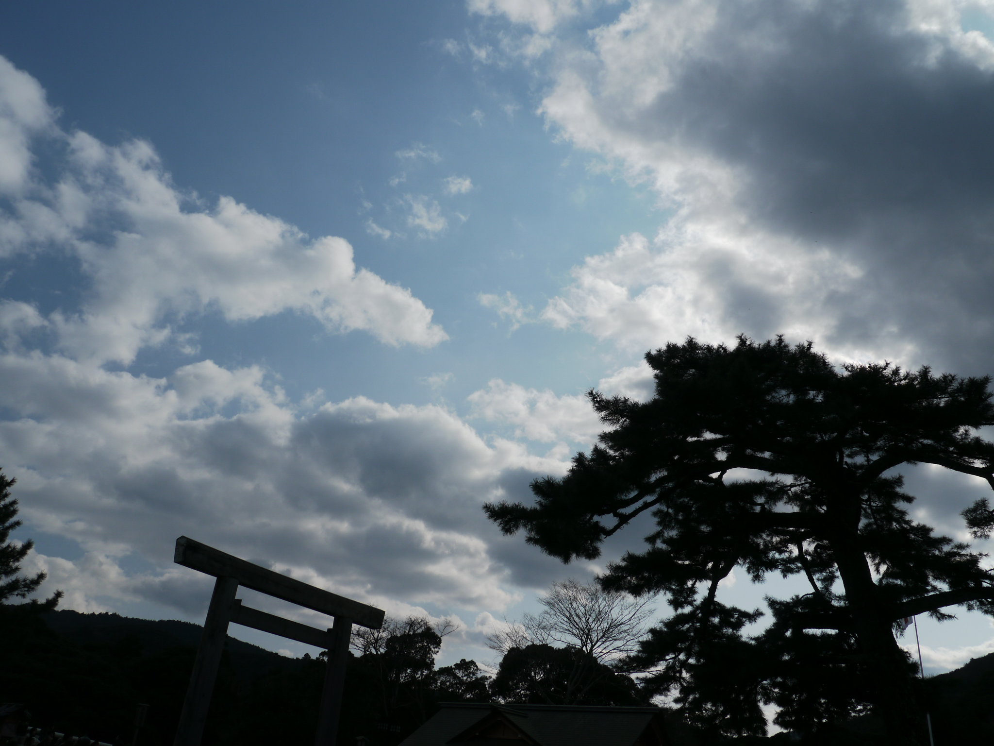 b0190242_1324332.jpg