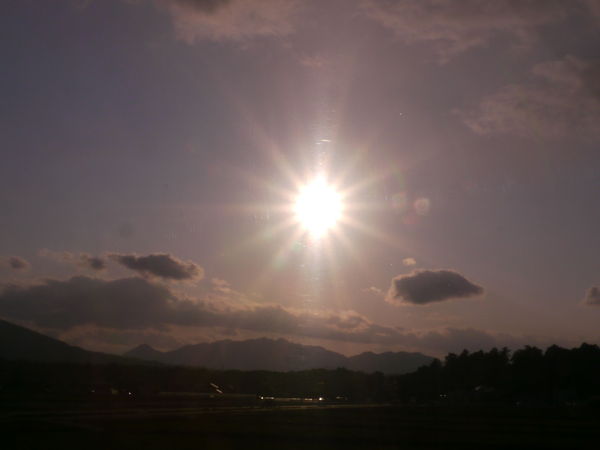 b0190242_135087.jpg