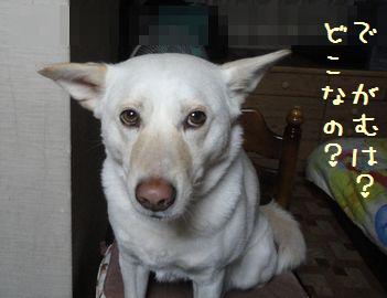f0195543_227205.jpg