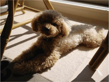 b0182846_13283028.gif