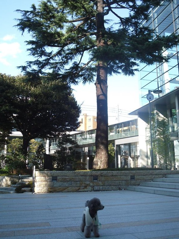 e0129656_22534528.jpg